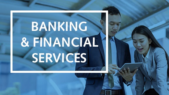 banking and financial services contract professional