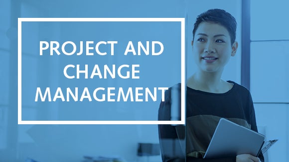 project and change management contract professional